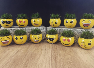 Plantes